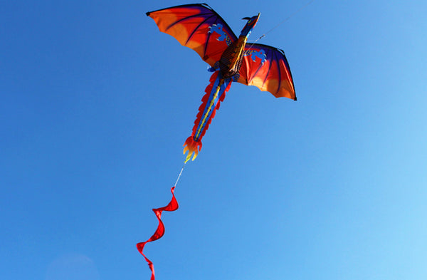 Dragon Kite with Line