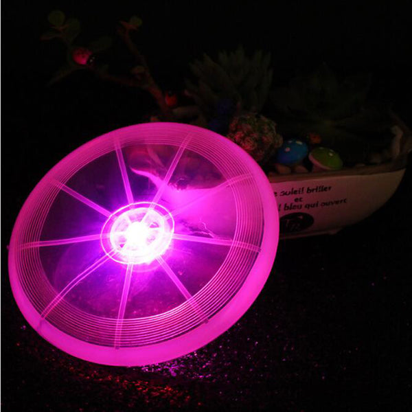 Luminous Frisbee Discs