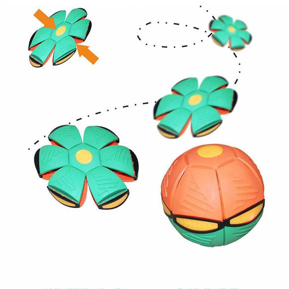 Throw Disc & Ball Toy