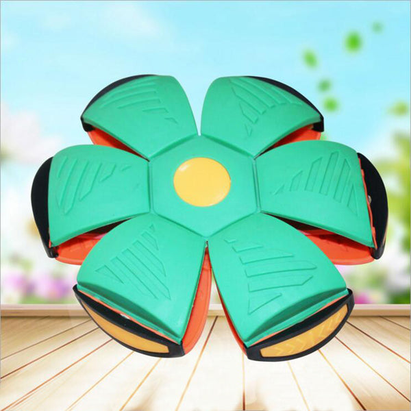 Throw Disc & Ball Toy