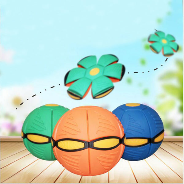 Throw Disc & Ball Toy