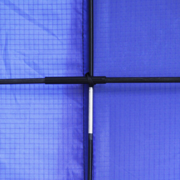 Single Line Delta Kite